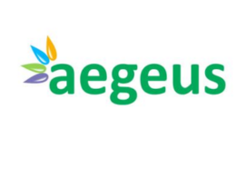 Aegeus Technologies IPO – GMP, Review, Share Price, Subscription, and Details