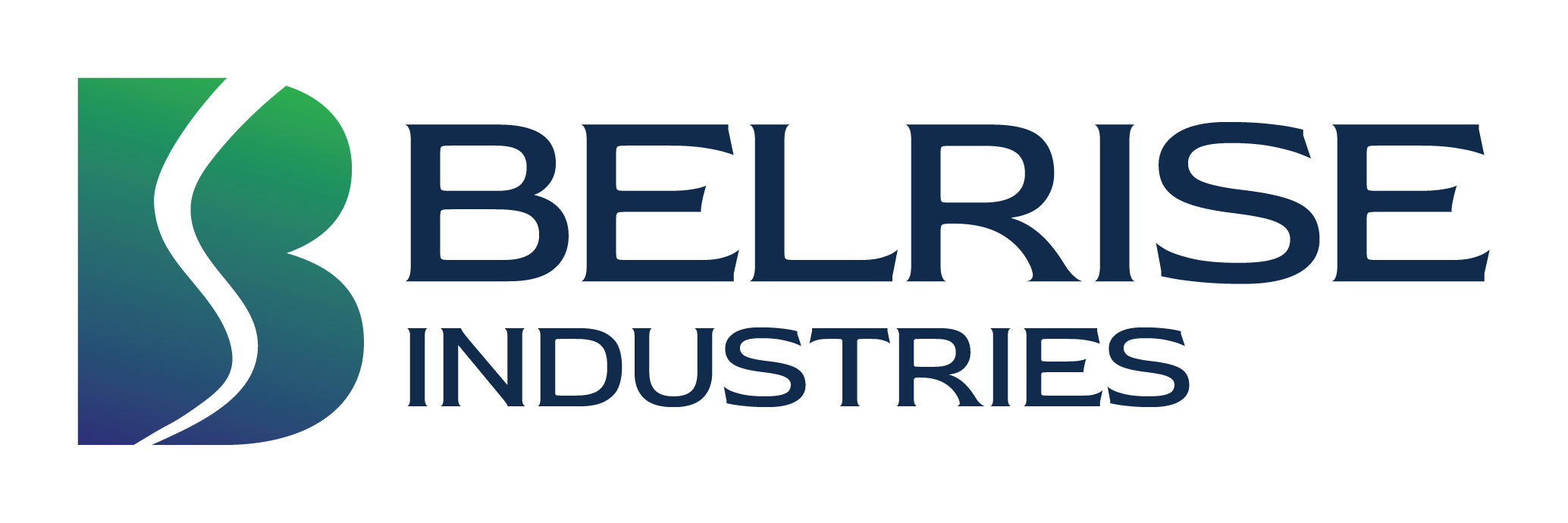 Belrise Industries Limited IPO – GMP, Review, Share Price, Subscription, and Details