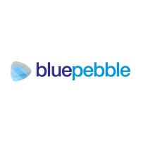 Blue Pebble Limited IPO – GMP, Review, Share Price, Subscription, and Details