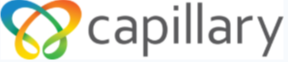 Capillary Technologies India Limited IPO – GMP, Review, Share Price, Subscription, and Details