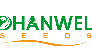 Dhanwel Hybrid Seeds IPO – GMP, Review, Share Price, Subscription, and Details