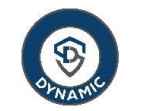 Dynamic Services & Security Ltd. IPO – GMP, Review, Share Price, Subscription, and Details
