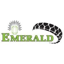 Emerald Tyre Manufacturers Limited IPO – GMP, Review, Share Price, Subscription, and Details