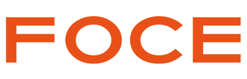 Foce India Limited IPO – GMP, Review, Share Price, Subscription, and Details