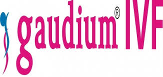 Gaudium IVF and Women Health Limited IPO – GMP, Review, Share Price, Subscription, and Details