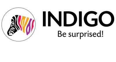 Indigo Paints Limited IPO – GMP, Review, Share Price, Subscription, and Details