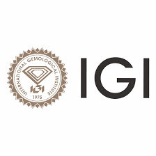 International Gemmological Institute (India) Limited IPO – GMP, Review, Share Price, Subscription, and Details
