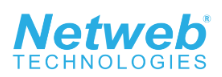 Netweb Technologies India Limited IPO – GMP, Review, Share Price, Subscription, and Details