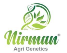 Nirman Agri Genetics Limited IPO – GMP, Review, Share Price, Subscription, and Details