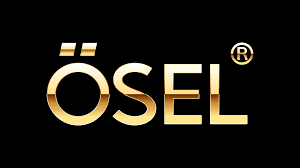 Osel Devices Limited IPO – GMP, Review, Share Price, Subscription, and Details