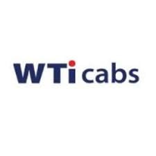 Wise Travel India Limited IPO – GMP, Review, Share Price, Subscription, and Details